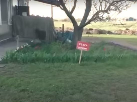 ����������: ���������� ������������ ������� �� ������ ���� � ����������� �������