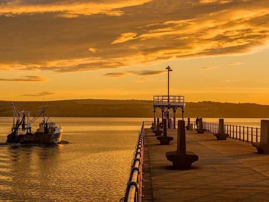 �������� ����� �����: ����� ��� ������� ������ ���� ��������