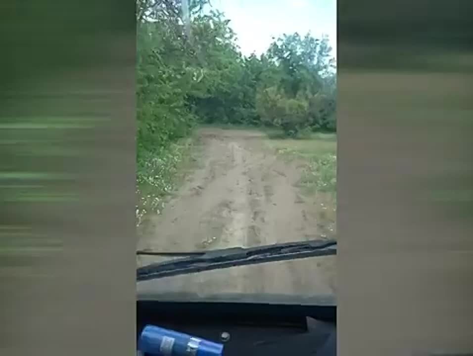 ������ ��� ����� �������� - ���������� ���