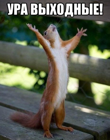 ������� ������������ ��������! ������, ���������!