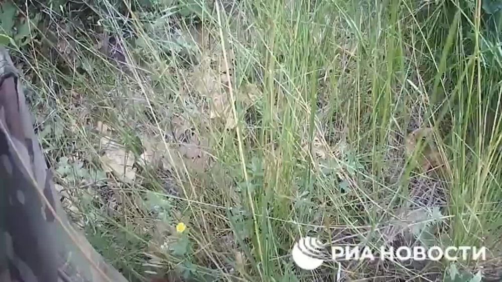 ��� ����� ��� ����� ���������� ��������� � ���������� ��� � ����������� �������, �� ���� ��� � ������� �� ������� ����