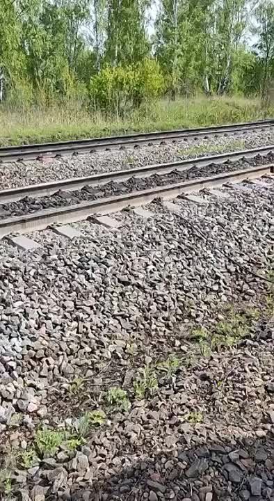 ������ � ���������� ������ �������� ���� ��� �������� ����������� �����������