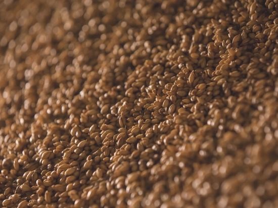 ����� � ������ �� ��������� ������ � �����������