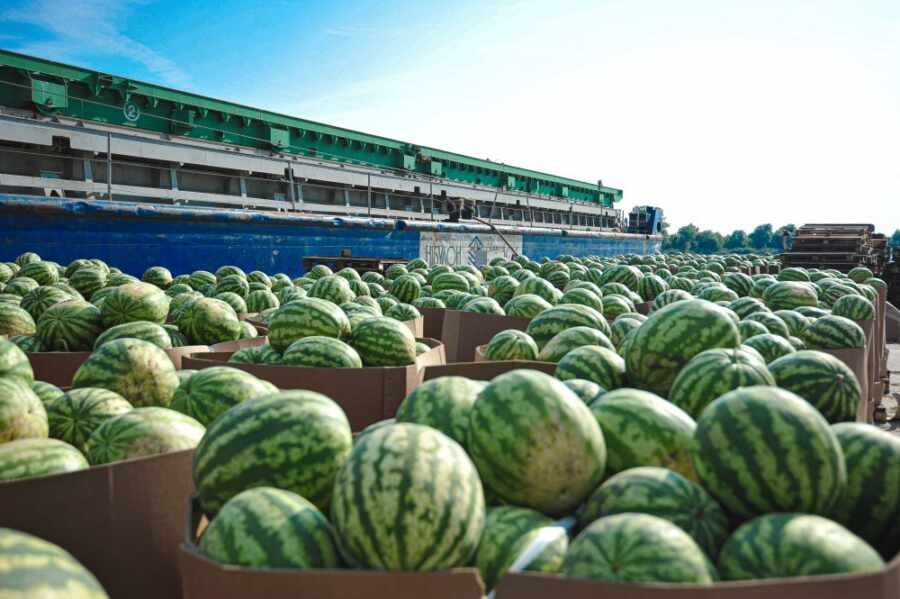 ����� ����� ����������� �����: ������ ����� ����� �������� ������ � �������