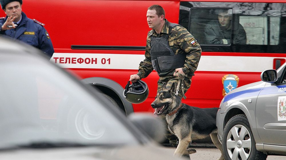 ������������������ ������ ����������� ������� ������� ����� � ��������� 12 ���� ��������