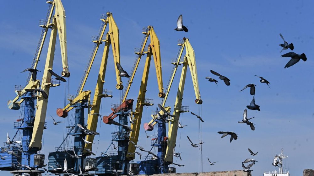 Глава администрации: порт Бердянска готов к работе