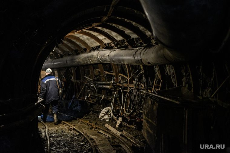 ������ ����������� ������� ������� �� ������ ����������