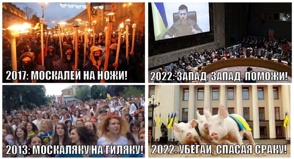�����: �� ���� ��� �����, �� ��� ������!