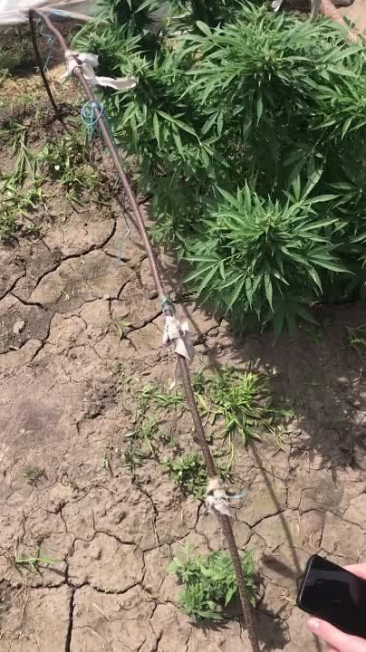 ������������������ ������ ���������� ��������� �������������