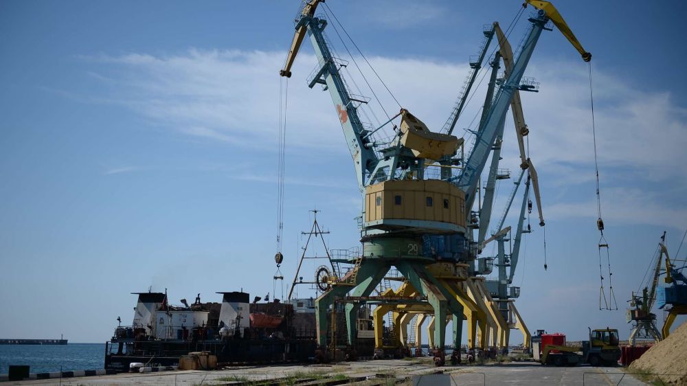 Эксперт усомнился в успехе инициатив по вывозу зерна с портов Украины