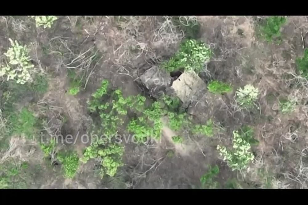 ���������� ����� ������ ���������� ������ �� �������� ��� � ����������� �������