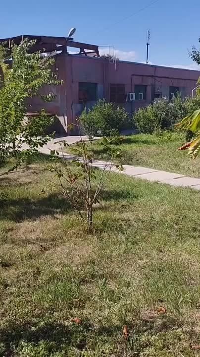 ��� �� � ������ ����� ���������� ��� ��� �����-��������� � ����������: ������ ����������� ��� � ���������� ���������������