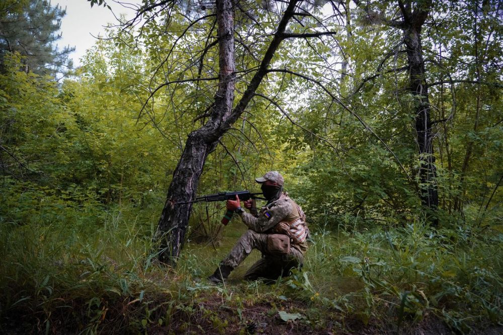 В Запорожской области задержали украинского диверсанта