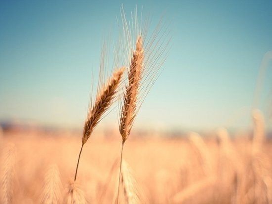 ������� ������ ��������� ���� � �������� ����� ���������� �������