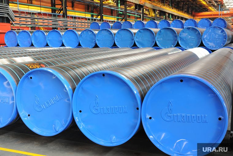 &laquo;�&raquo;: ������ �� ����� ������������ ���������� ��������&mdash;��������