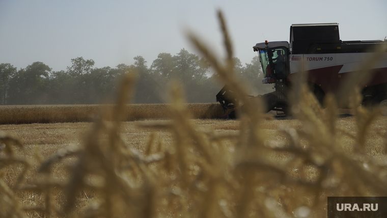 �������� ��������� ���� � �������� � ���������