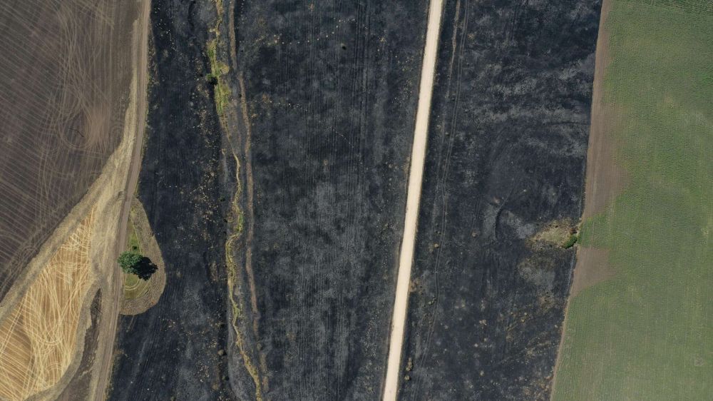 ������� ��������� ���� � �������� � ����������� ������� � ������