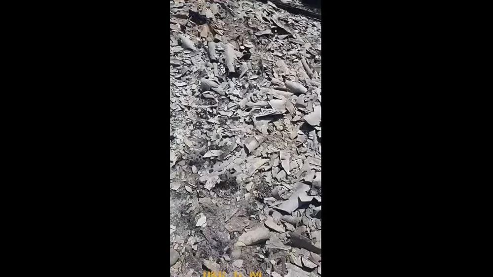 ������ ��������, ��� �������� ��� �������� ��� ������ ������ � ���������, �� �������� �������, ��� ������