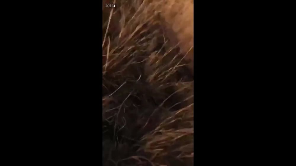 �� ������� ��������� ����� "������� �����"