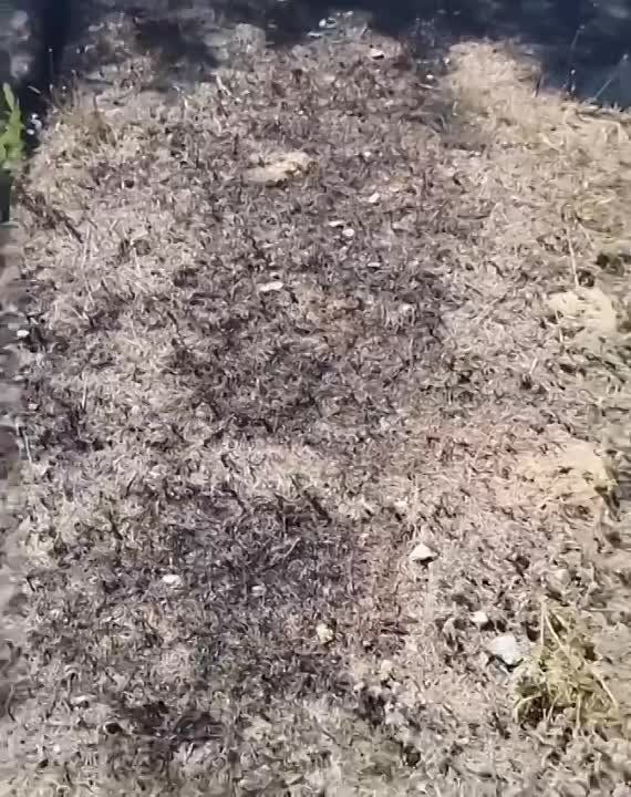 ���� ��� �� ����������� ���, ������� �������������� ��������, � ���������� ���������� ������� � ����� ������� ������ � ��������� ������