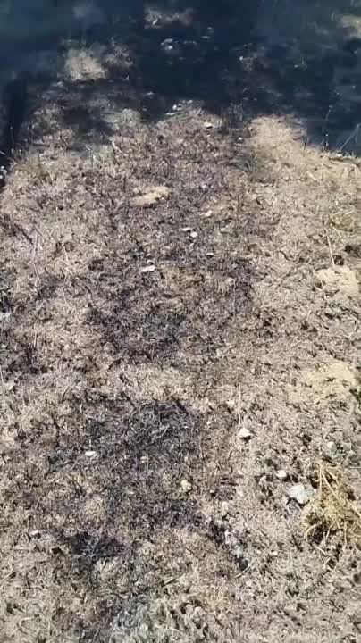 ������� ���������� ������-��������� �� ���������� ����������� ���