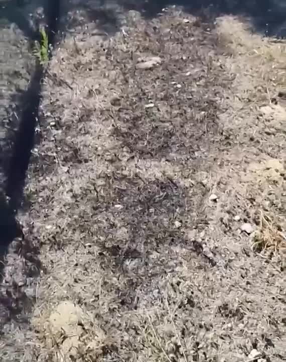 ��� ��������� ����� ����������� ��� ��� ������ ������-���������