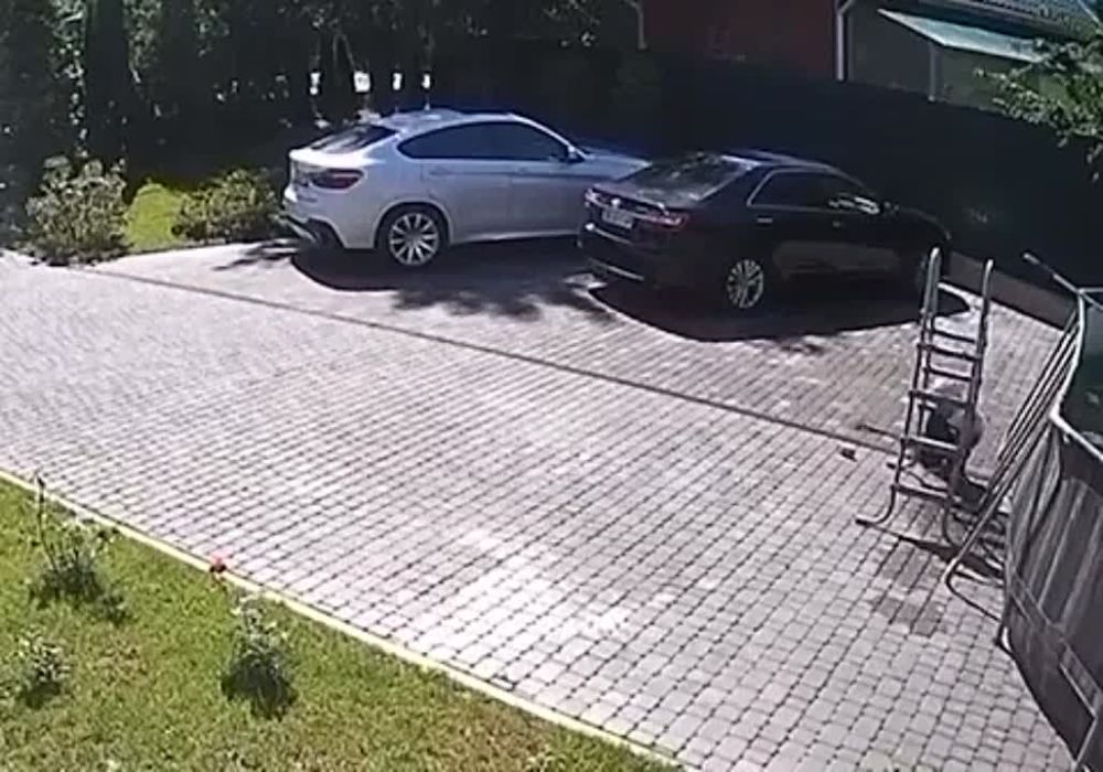 �������� �����: �������� ���� �� ����� ������