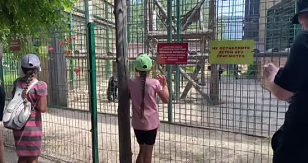 ���� �� ����������� ������ �������� ������� ��������� ������� �� � ���