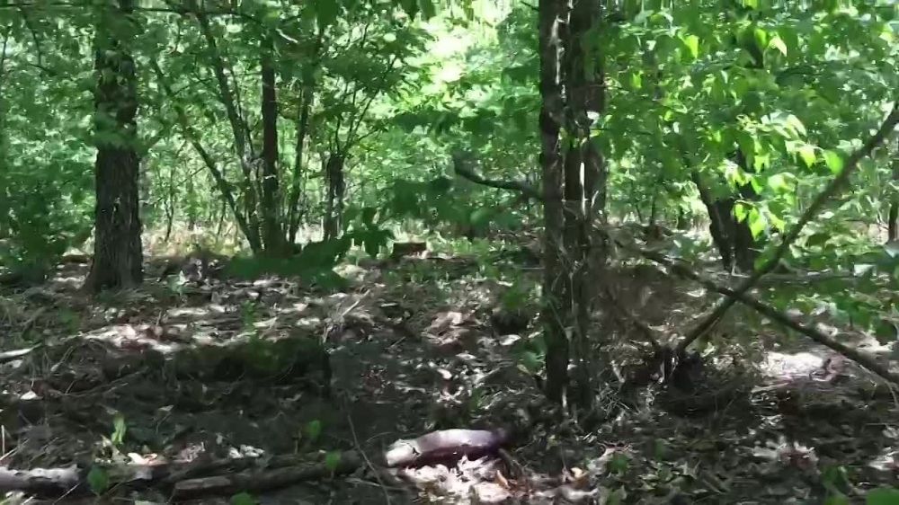 � ������ � ������������� ����������� � ������� ������� ������� ����� ��� ��������������� ������ ������ ������