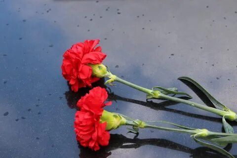 ������� ��������: ������� � �������������� ������ ��������� �������� ��������