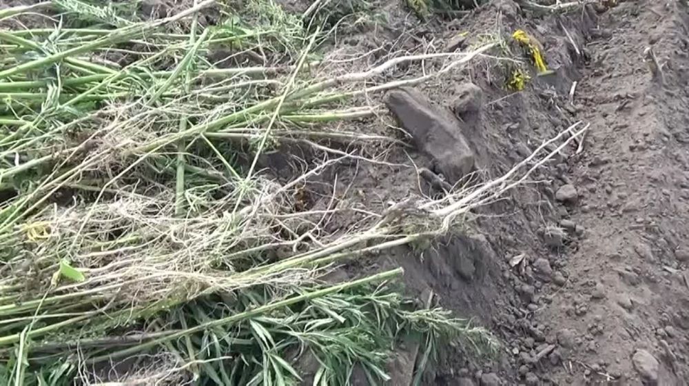 � �������������� ������ �������� ���� ������������ �������