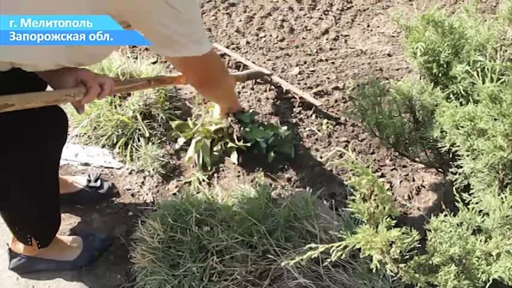 � ���������� � ������ ������������ ����������� ������ ����� ������� ����