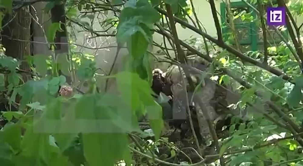 ��������������� ��������� ��������� ����������, ������� �� ������� ��� ������� ��������� �� ����� ������-����������� ������������� ������
