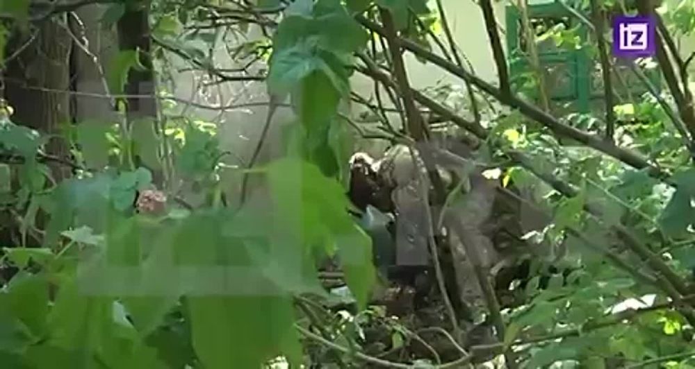 ��������������� ��������� ��������� ������ ��� �� ����� �������� ����������