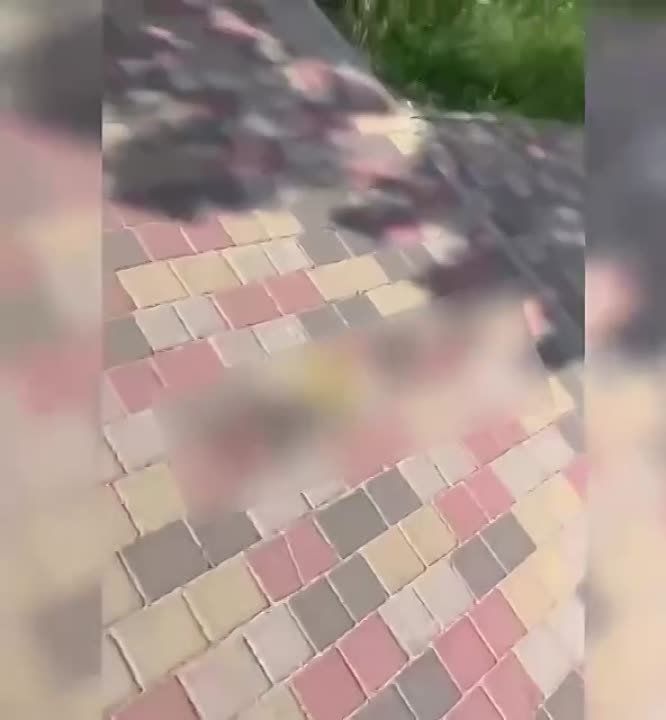 ����� � ����������� ���, ������� ������������ � ������� ������� ��� �����