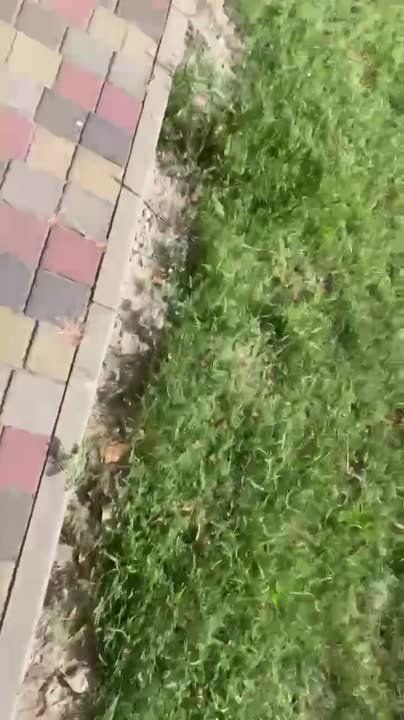 �� ���������� (��� ��������� �� ��) ��������� ����� �� ��������� �������� ���������� ������ � ������ ����� ���������� �� ������� � � ������ ����������� ���