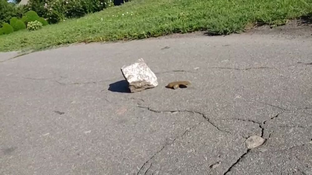 ��������! �� ������� ��� ��� ����� �� �������