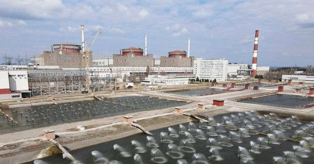 ������ ��������� ������������ � ������������ ������������ �������� ���