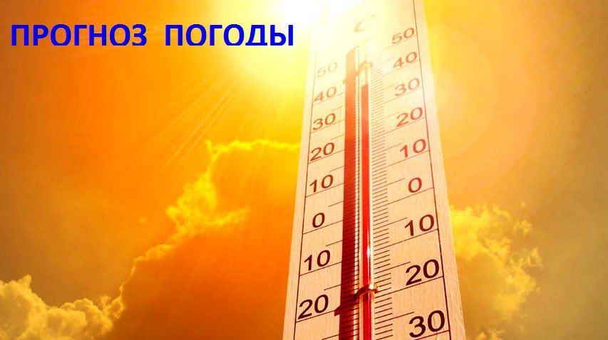11 ������� � �������������� � ���������� ����� �������, ������ ����� ��������� �� �������