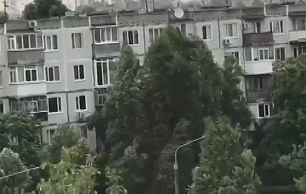 ����� �� ��������� ��������� ����������� ���: