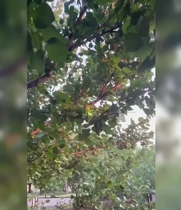 ������ ��������� �������� � �������
