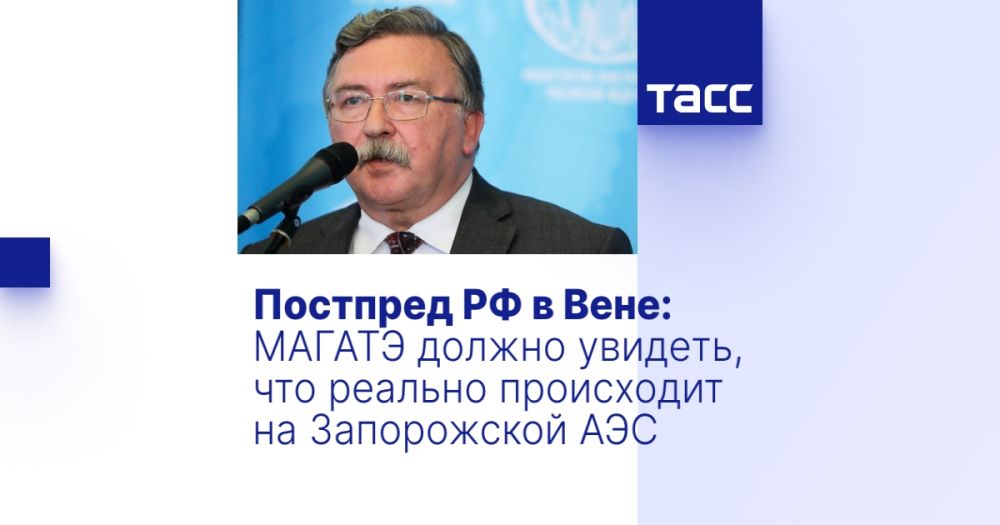 �������� �� � ����: ������ ������ �������, ��� ������� ���������� �� ����������� ���