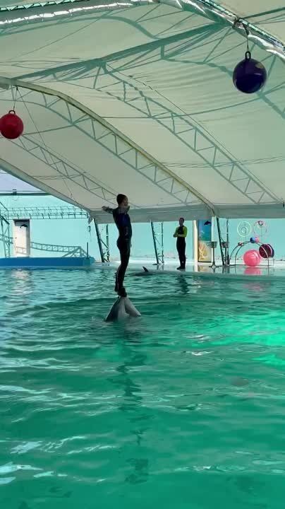 ���� �������� ��������� �� ���������� �������� ����������� � ��������� �� ����� �������� ������ "������"