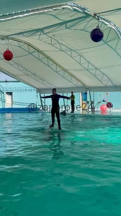 � ����� ���� �������� ��������� �� ���������� �������� � �����������!