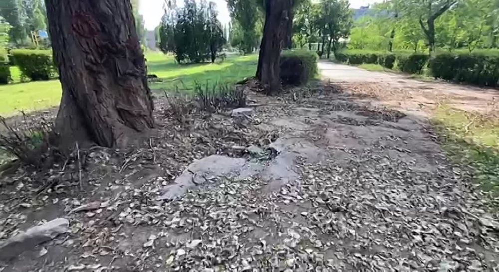 ��� ������������� ��������� �� ����� ���� ������ ������������ ��������