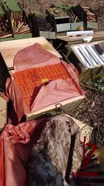 ����� ����������� � ����������� ������� - �� ��������� ���������������� ������� ���� ������ 11 ���, ���������� �������, 175 �� ���������� ������� � ����� ������ ����� ����������� � ����������� ������
