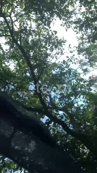 �� ��������� ��������� �������� �����, � ������ ���� ��������� �������