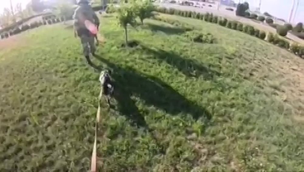 ���������� ���������� ���������� ������������ ������������ ����������� ���