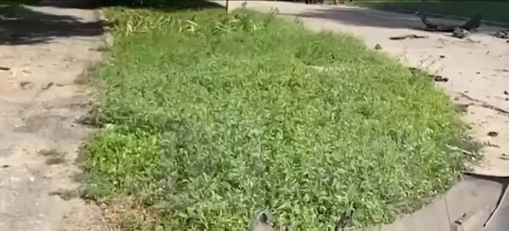 � ����������� ������� ����� ����� ���������� ������������� ����� �����