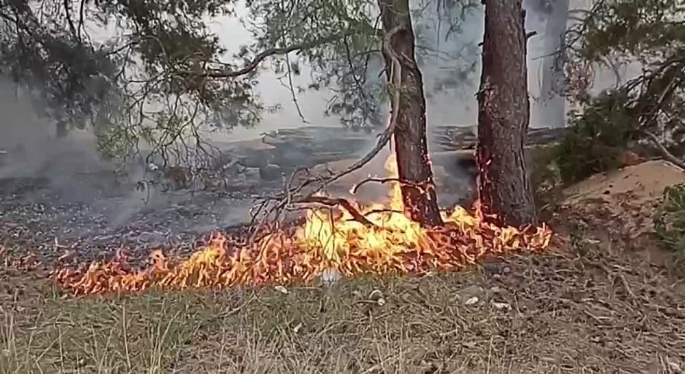 ����� ���������� ������ � ����������, ������� ������ ��-�� �������� ���